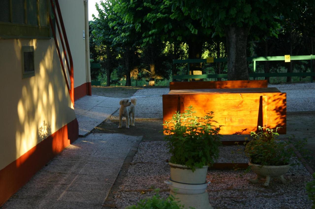 Villa Lilli 2 Ferrara Eksteriør bilde