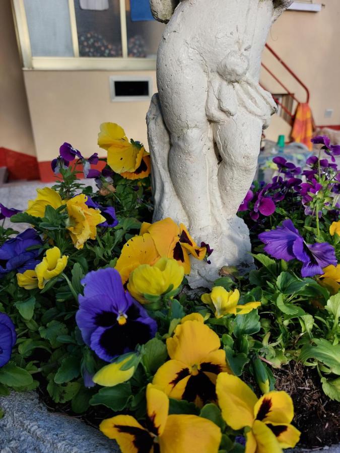 Villa Lilli 2 Ferrara Eksteriør bilde